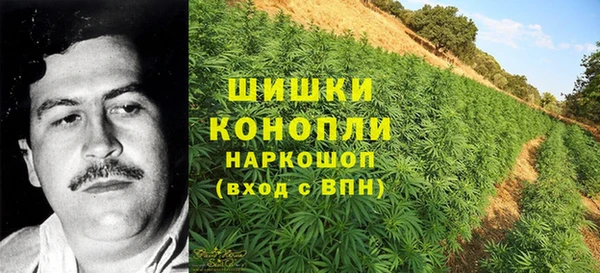 мескалин Алексин