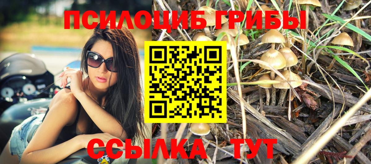 Вологда  Псилоцибиновые грибы Cubensis  Галлюциногенные грибы прущие грибы  Вход с VPN 